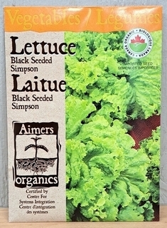 SEEDS - Lettuce Black Seeded Simpson